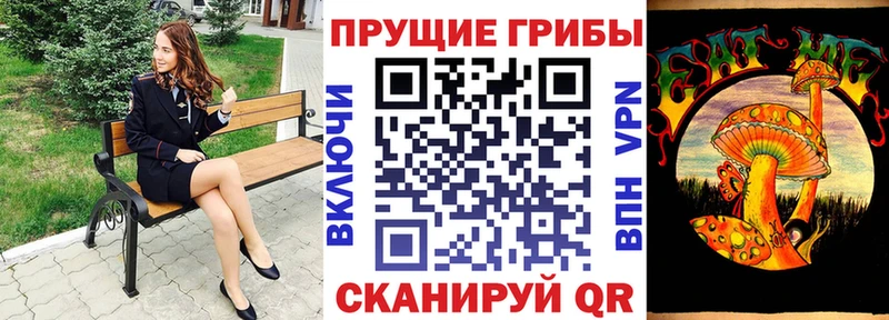 Галлюциногенные грибы Psilocybine cubensis  Калязин 
